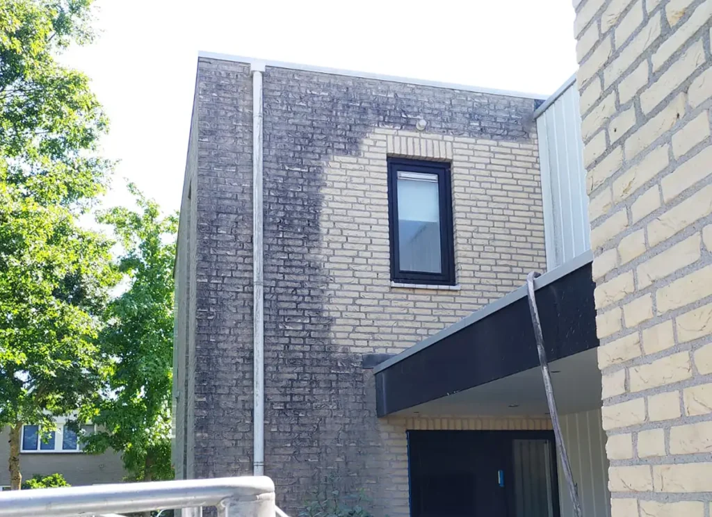 Op een bakstenen gebouw van twee verdiepingen is op één muur een groot verkleurd gedeelte te zien, mogelijk veroorzaakt door vuil of schimmel. Op de voorgrond zijn een metalen constructie en wat groen te zien.